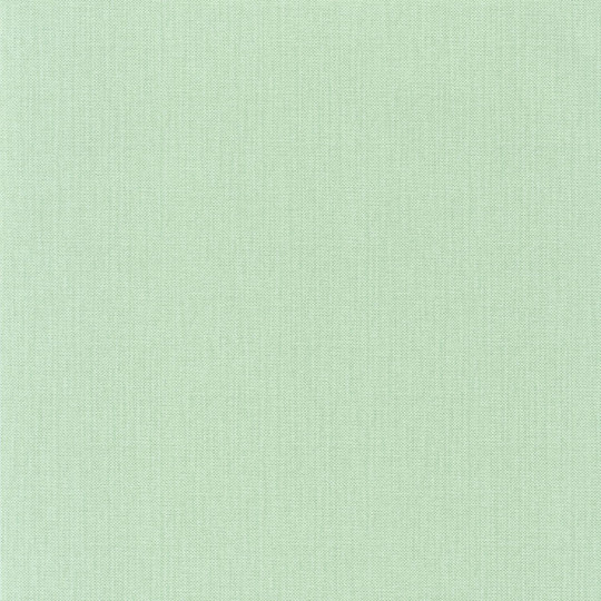 Papier peint Uni Natté vert amande - GREEN LIFE - Caselio - GNL101567001
