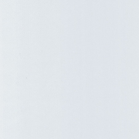 Papier peint Uni Life blanc - FLOWER POWER - Caselio - FLP64520000