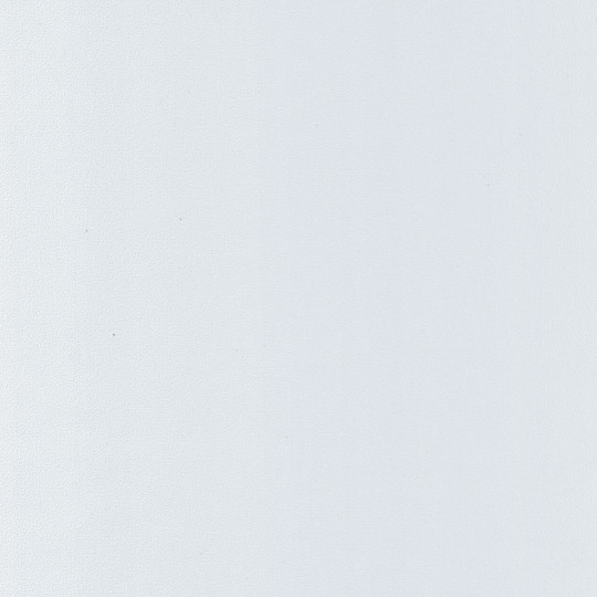 Papier peint Uni Life blanc - FLOWER POWER - Caselio - FLP64520000
