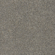 Papier peint Bolinger carbone - ORPHEE - Casamance - ORP73900660