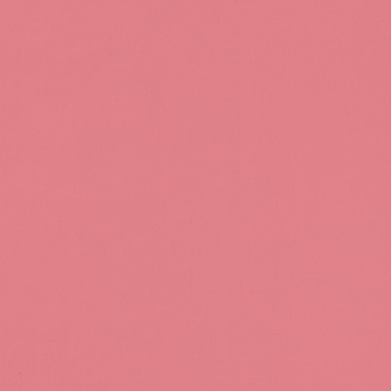 Papier peint Uni rose framboise - ROSE & NINO - Casadeco - RONI69864600