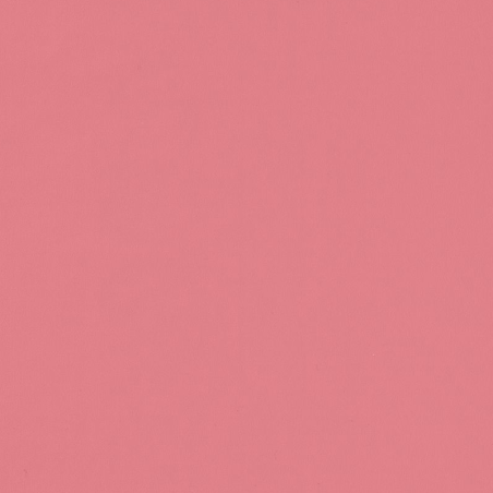 Papier peint Uni rose framboise - ROSE & NINO - Casadeco - RONI69864600
