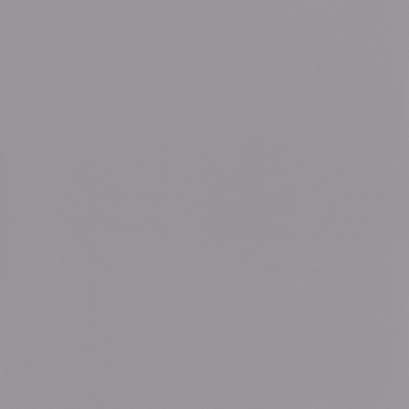 Papier peint Uni gris foncé - ROSE & NINO - Casadeco - RONI69869528