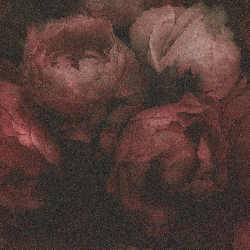 Papier peint Romantic Dream rouge - NEW WALLS - AS Creation - 37392-4