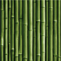 Papier peint adhésif Bamboo vert - LES ADHESIFS - Lutèce - RMK11449