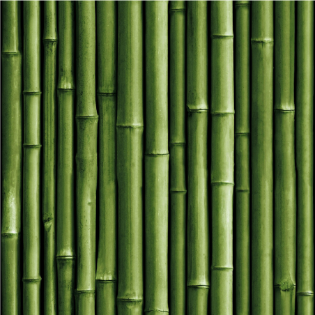 Papier peint adhésif Bamboo vert - LES ADHESIFS - Lutèce - RMK11449