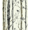 Papier peint adhésif Birch Trees gris - LES ADHESIFS - Lutèce - RMK9047