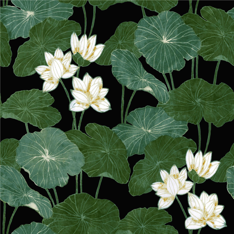 Papier peint adhésif Lily Pad noir - LES ADHESIFS - Lutèce - RMK11433