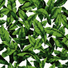 Papier peint adhésif Palm Leaf vert - LES ADHESIFS - Lutèce - RMK11045