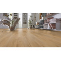 Sol stratifié chêne nature Premium D4955 - Robusto KRONOTEX