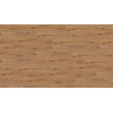 Sol stratifié chêne Prestige clair D4169 ER - Exquisit KRONOTEX