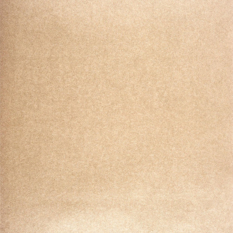 Papier peint Equinoxe uni beige - PANAMA - Casadeco - PANA23001323