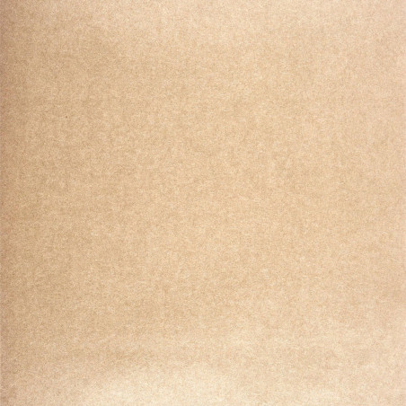 Papier peint Equinoxe uni beige - PANAMA - Casadeco - PANA23001323
