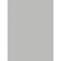 Papier peint Pois taupe - HAPPY DREAMS Casadeco - HPDM29791523