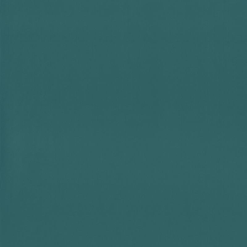 Papier peint Uni bleu canard - OUR PLANET - Caselio - OUP69866616