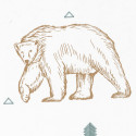 Papier peint Grizzly Bear vert d'eau et beige - OUR PLANET - Caselio - OUP101987112