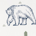 Papier peint Grizzly Bear vert kaki et bleu nuit - OUR PLANET - Caselio - OUP101987403 