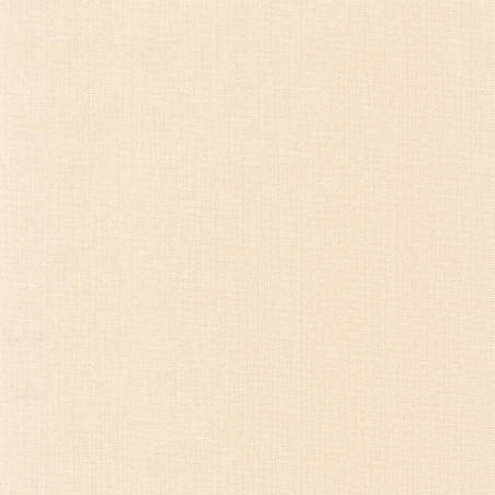 Papier peint Uni beige calcaire - L'ESCAPADE - Caselio - EPA101561055