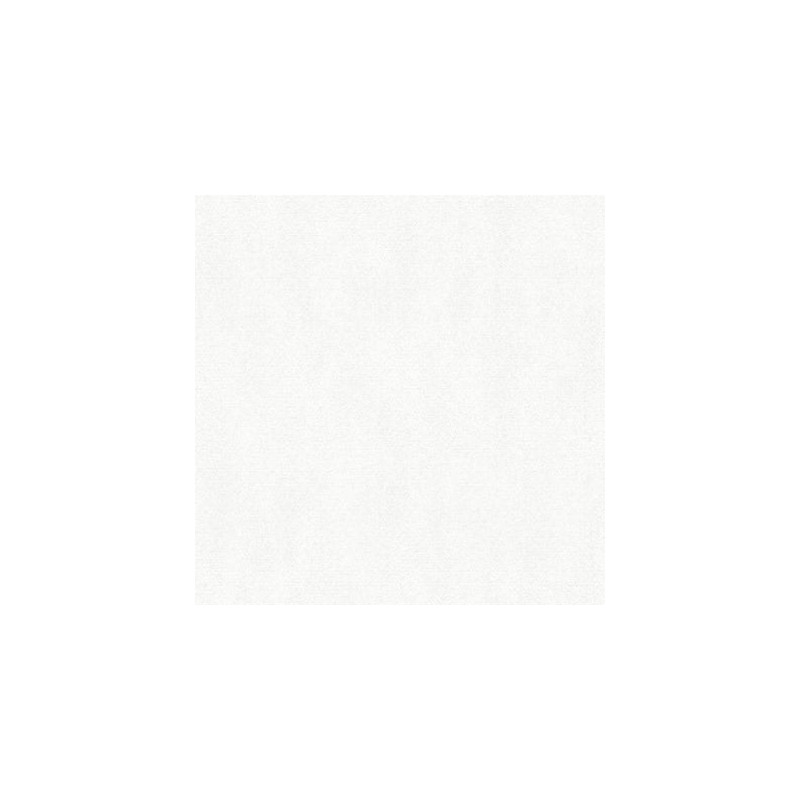 Papier peint Uni blanc grainé - Ugepa - F79390
