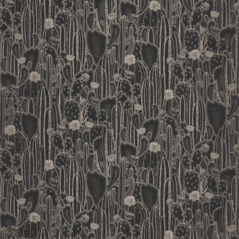 Papier peint Cactaceae noir - BOTANICA - Casadeco - BOTA85929512