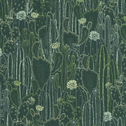 Papier peint Cactaceae vert cactee - BOTANICA - Casadeco - BOTA85927429