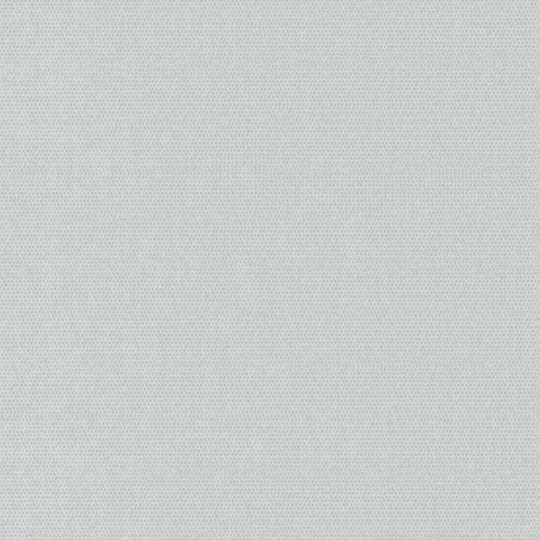 Papier peint Canevas uni gris - BOTANICA - Casadeco - BOTA82079131
