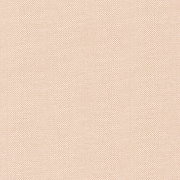 Papier peint Uni métallisé rose poudré - L'ESCAPADE - Caselio - EPA101574022