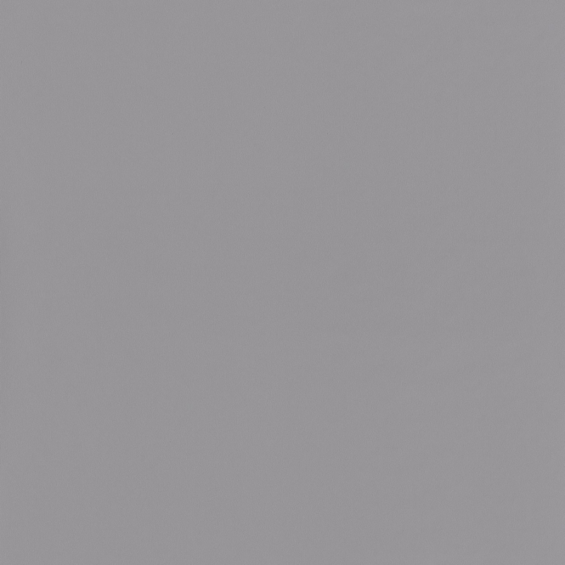 Papier peint Uni gris foncé - HANAMI - Caselio - HAN69869528