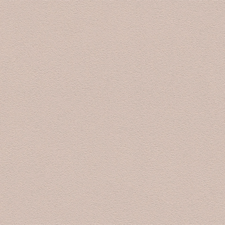 Papier peint Paillette uni beige rosé - NEW WALLS - AS Creation - 361687