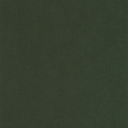 Papier peint Life vert kaki - SEA YOU SOON - Caselio - SYO64527370