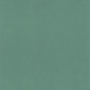 Papier peint Life vert mousse - SEA YOU SOON - Caselio - SYO64527730