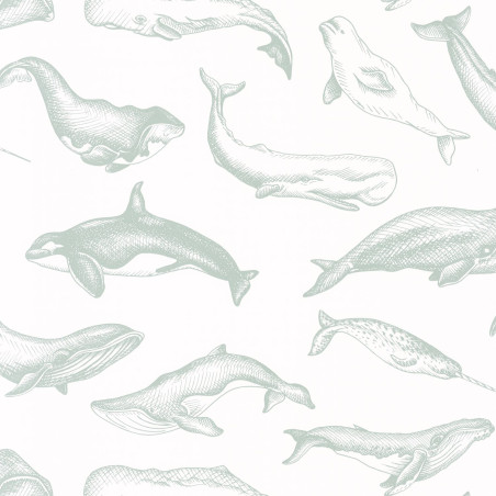 Papier peint Whale Done vert d'eau - SEA YOU SOON - Caselio - SYO102797010