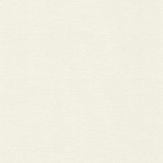 Papier peint Uni grège - KIMONO - Rasch - 408249