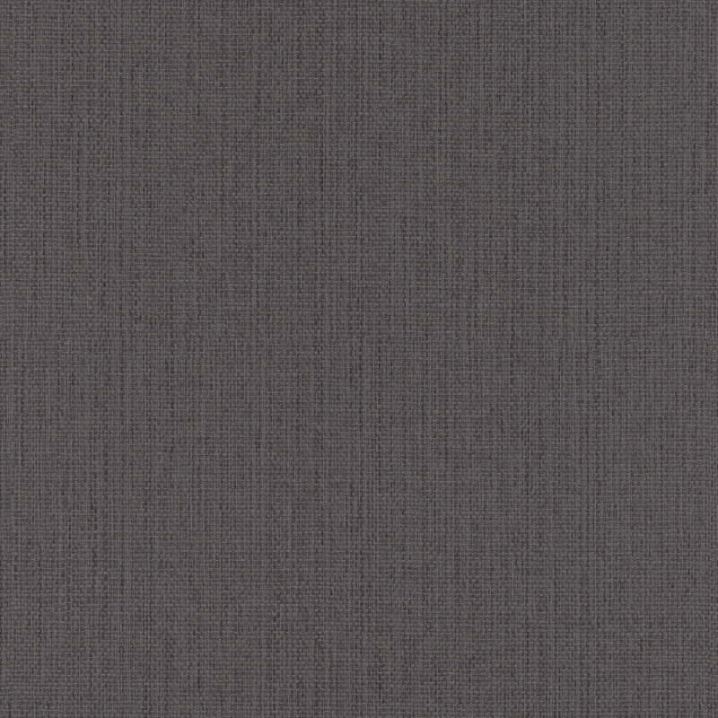 Papier peint Uni gris anthracite - KIMONO - Rasch - 407952