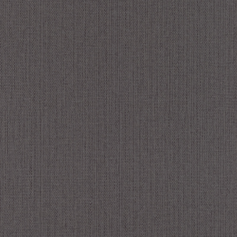 Papier peint Uni gris anthracite - KIMONO - Rasch - 407952