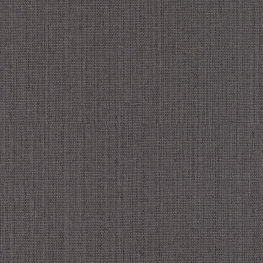 Papier peint Uni gris anthracite - KIMONO - Rasch - 407952