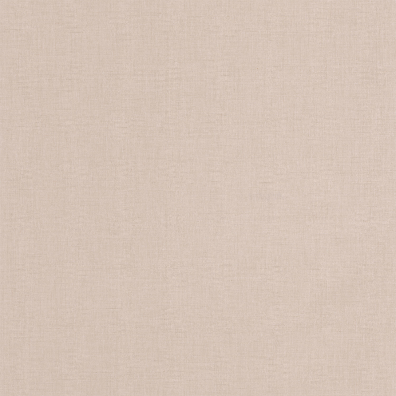 Papier peint Odyssée uni beige - L'ODYSSEE - Caselio - OYS100601212