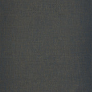 Papier peint Hygge Uni bleu nuit doré - MYSTERY - Caselio - MYY100606803