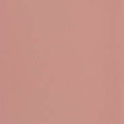 Papier peint Goma rose - L'ODYSSEE - Caselio - OYS100404117
