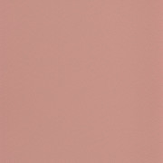 Papier peint Goma rose - L'ODYSSEE - Caselio - OYS100404117