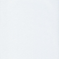 Papier peint Goma blanc et argent - L'ODYSSEE - Caselio - OYS100400101