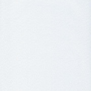 Papier peint Goma blanc et argent - HANAMI - Caselio - HAN100400101