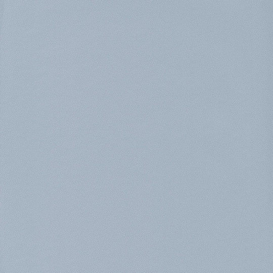 Papier peint Goma gris clair - HANAMI - Caselio - HAN100409229
