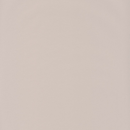 Papier peint Goma beige - HANAMI - Caselio - HAN100401010