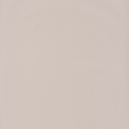 Papier peint Goma beige - HANAMI - Caselio - HAN100401010