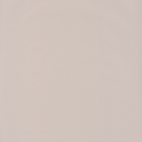 Papier peint Goma beige - HANAMI - Caselio - HAN100401010