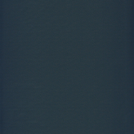 Papier peint Goma bleu cobalt et gold - HANAMI - Caselio - HAN100409927