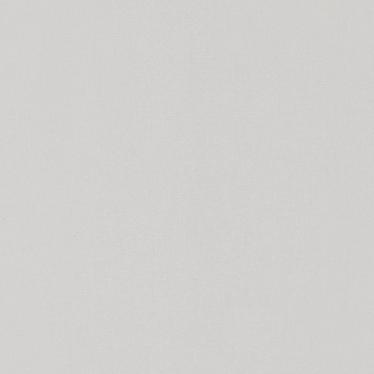 Papier peint Uni Life gris - MOONLIGHT - Caselio - MLG64529162