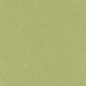 Papier peint Linen uni vert sapin - BEAUTY FULL IMAGE - Caselio - BFIM68527203