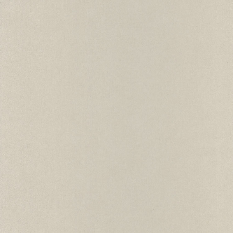 Papier peint Life beige - SPACES - Caselio - SPA64521010